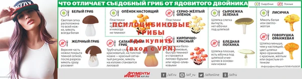 сатива Магас