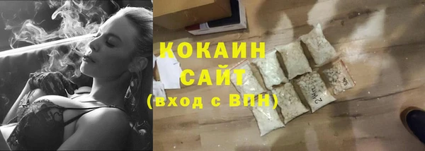 сатива Магас