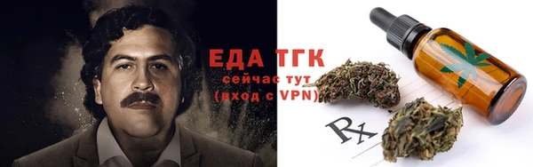 сатива Магас