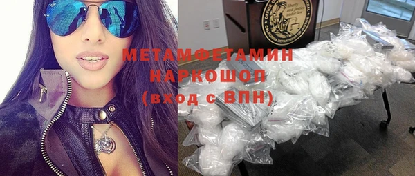 сатива Магас