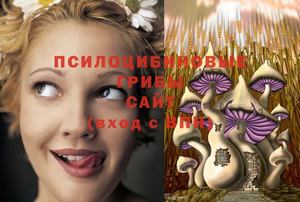 сатива Магас